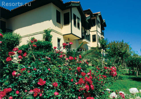 Grida Village 8